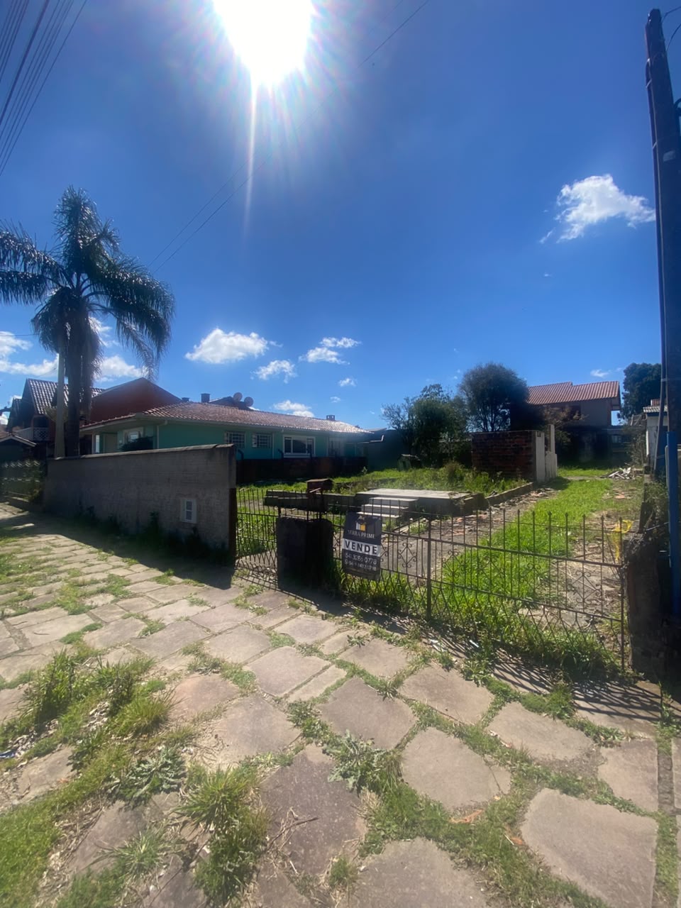 Terreno em Canela - foto 3