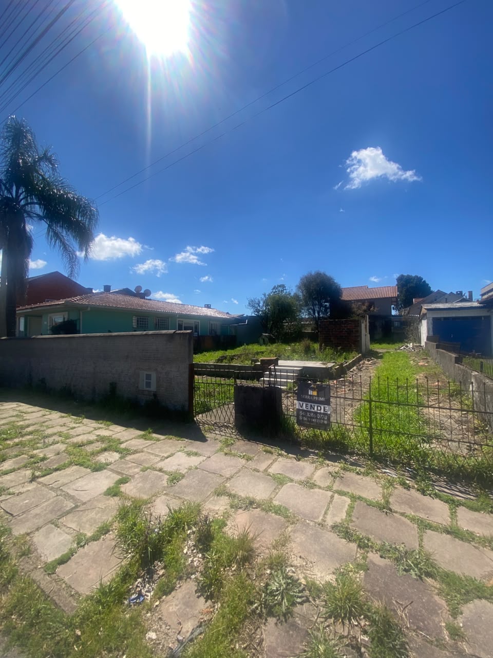 Terreno em Canela - foto 4